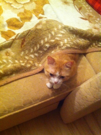 Филимон замёрз))