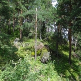 Медведь
