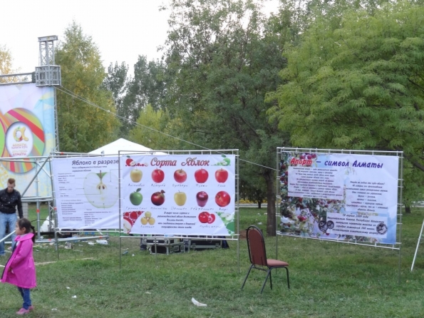 Алма-Ата = Отец Яблок