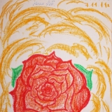 Наш Род, 2010г