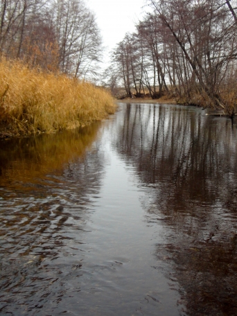 Дорожка