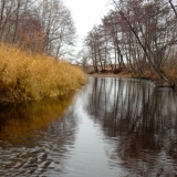 Дорожка