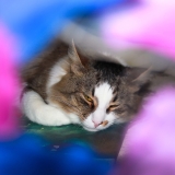 Семен помогает мне, позируя, пока я учусь спец эффектам