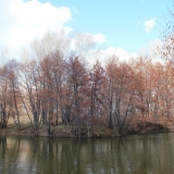 Речка Каргала