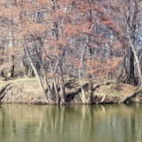 Река Каргала