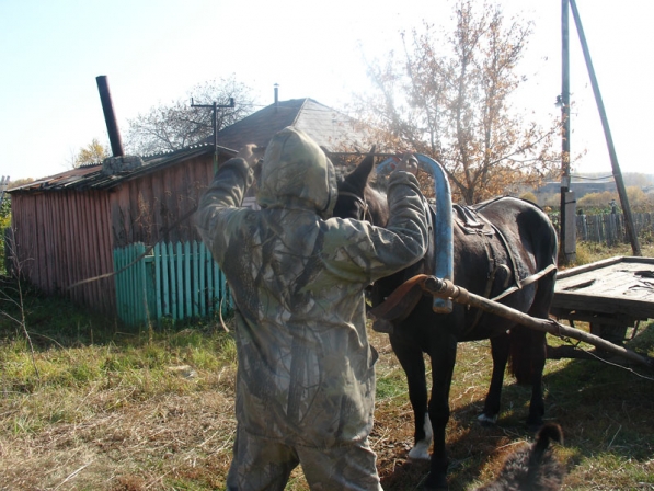 Запугивание перед поездкой. :)