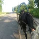 Едем до дому.