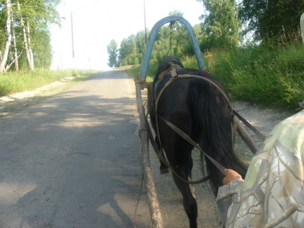 Едем до дому.